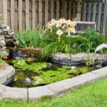 Small backyard water garden